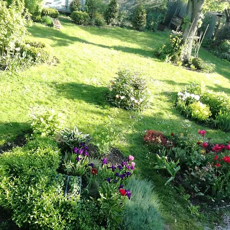 Appartement Wilken 2024 *