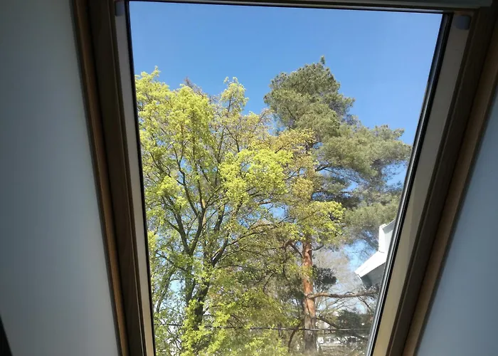 Wilken 2024 Lejlighed